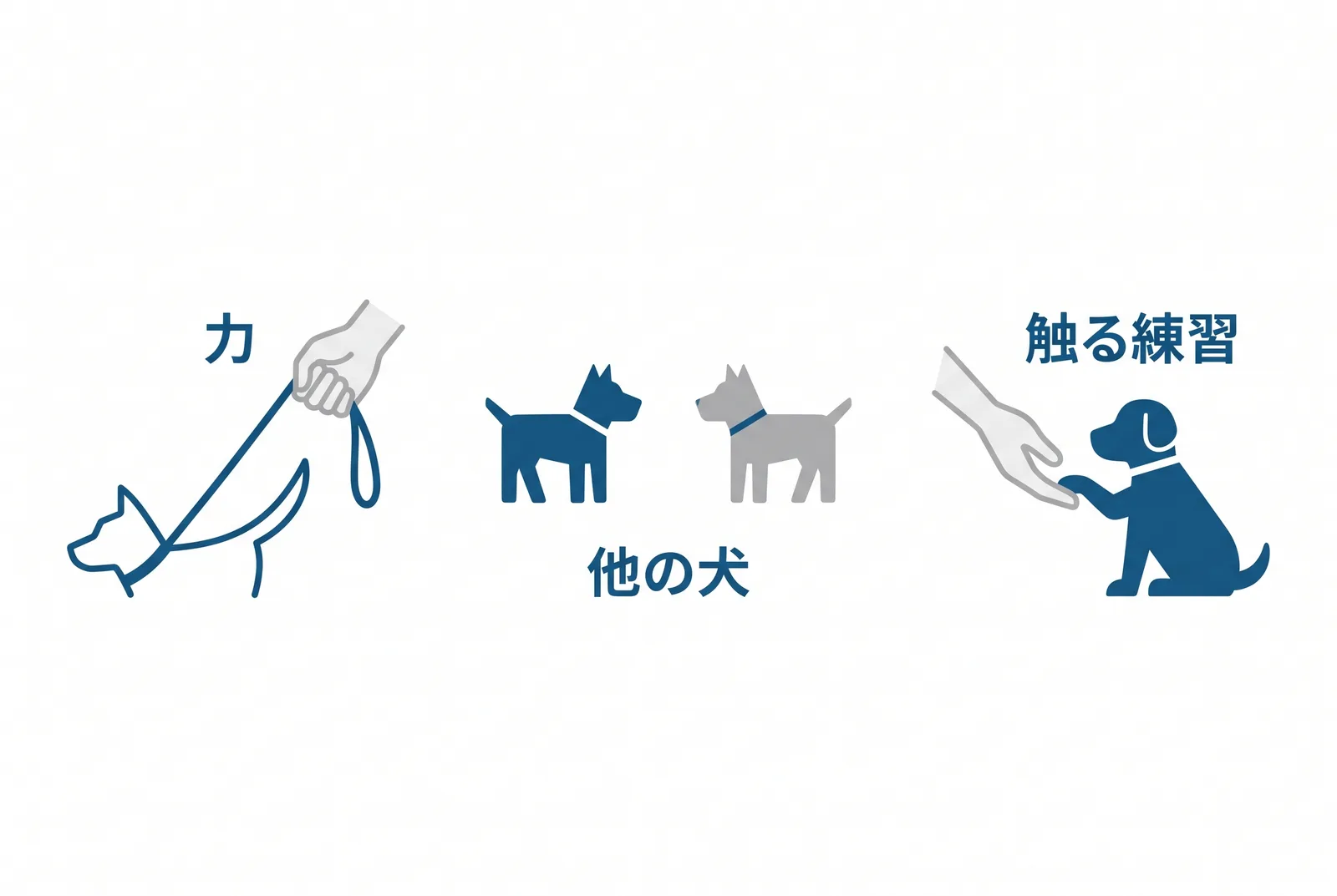 秋田犬を迎える前に家族で決める3つ。力を誰が止めるか：引かない歩き方を体が大きくなる前に。他の犬とどう暮らすか：同性の犬に強く出る、多頭飼いは異性で。触られる練習をいつやるか：生後16週までに足先・耳・口を毎日10秒