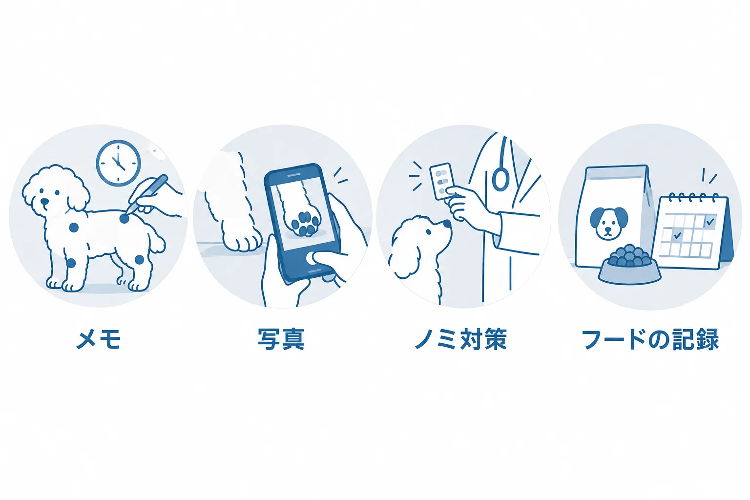 受診前に家でできる4つ。場所と時間帯をメモ、赤い場所を写真に、ノミ対策は獣医師と、フードとおやつを記録