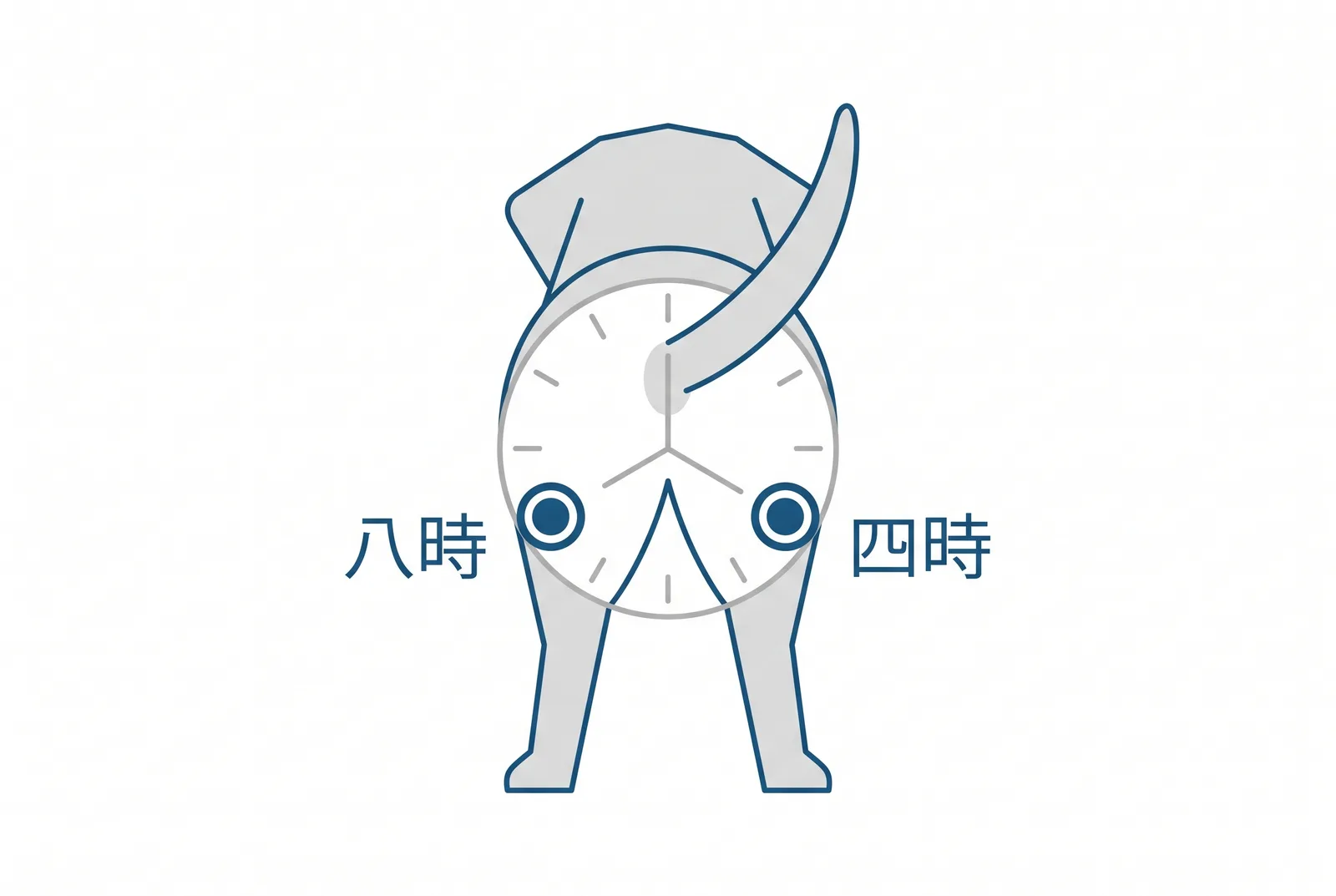 肛門腺の位置。お尻を後ろから見て、肛門を時計の中心とすると四時と八時の位置にある