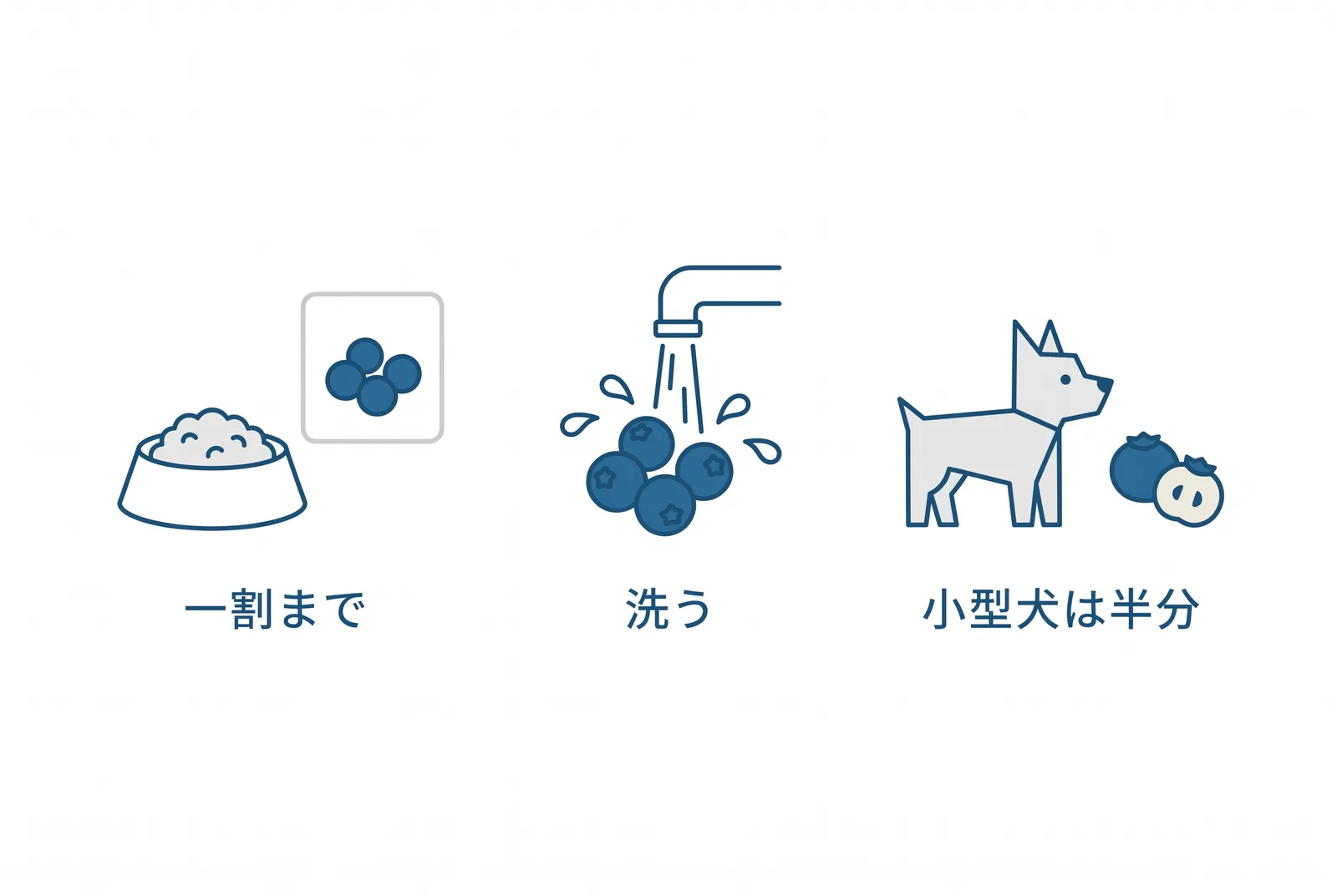 ブルーベリーは量と形で決まる。一日のおやつは食事の一割まで。洗ってから。小型犬は半分に切るか、つぶす
