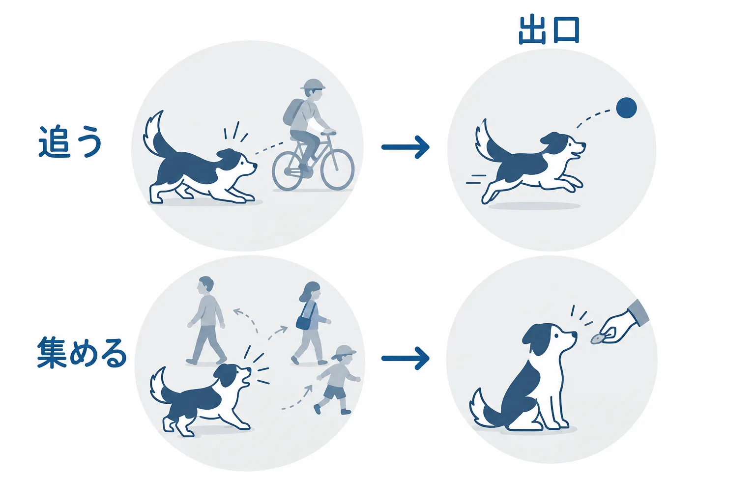 本能は消えない、出口を作る。追う→ボールやフリスビー、集める→静かになった瞬間をほめる