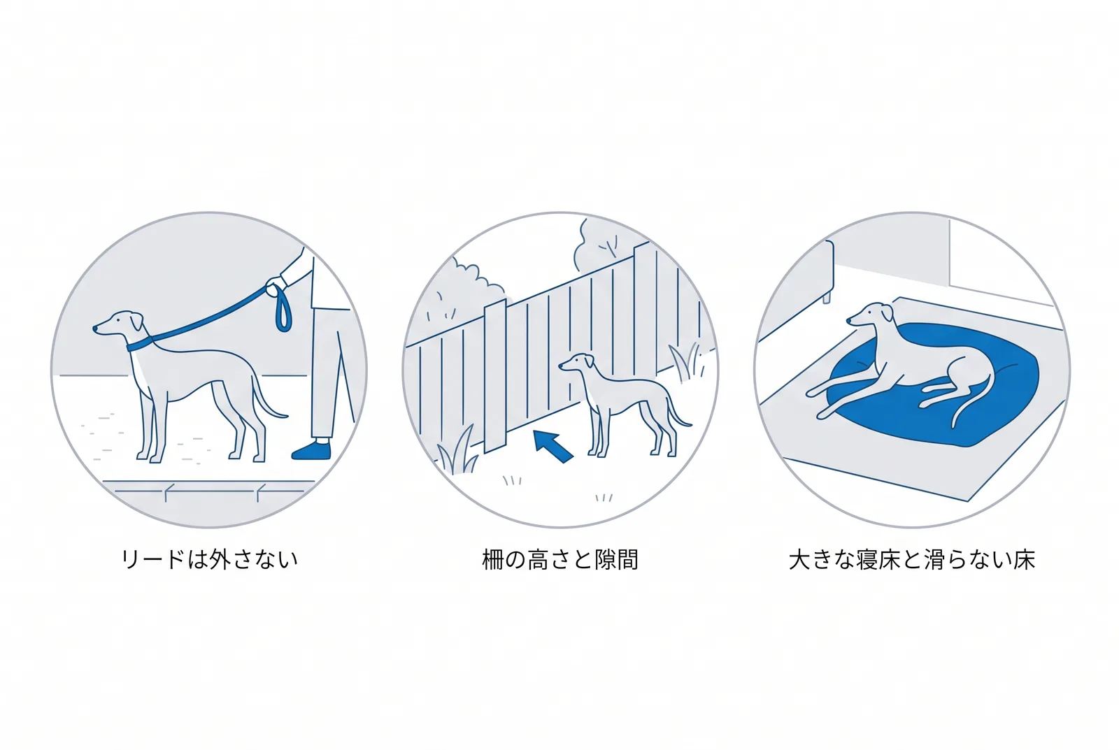 三つの場面でやること。公道でリードは外さない、柵の高さと下の隙間を確かめる、大きな寝床と滑らない床