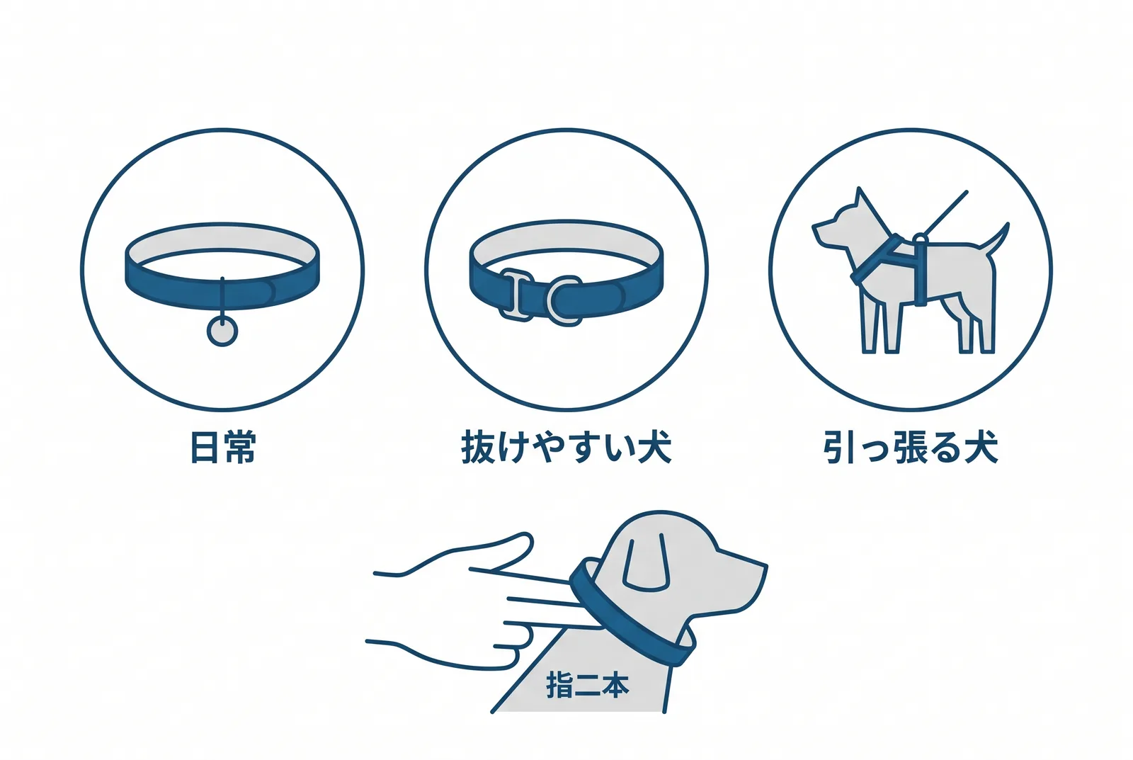首輪は三つを使い分ける。平首輪：日常と鑑札。マーチンゲール：首が細く抜けやすい犬。ハーネス：引っ張る犬、小型犬、短頭種。共通のサイズ基準は指二本