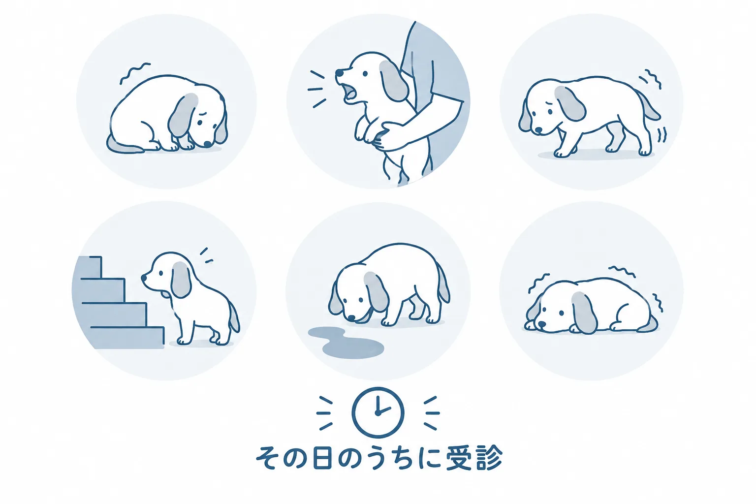 背中の急ぐサイン。背中を丸めて動かない、抱くと鳴く、後ろ足がふらつく、段差を嫌がる、排泄の失敗、震えてじっとする。見たらその日のうちに受診