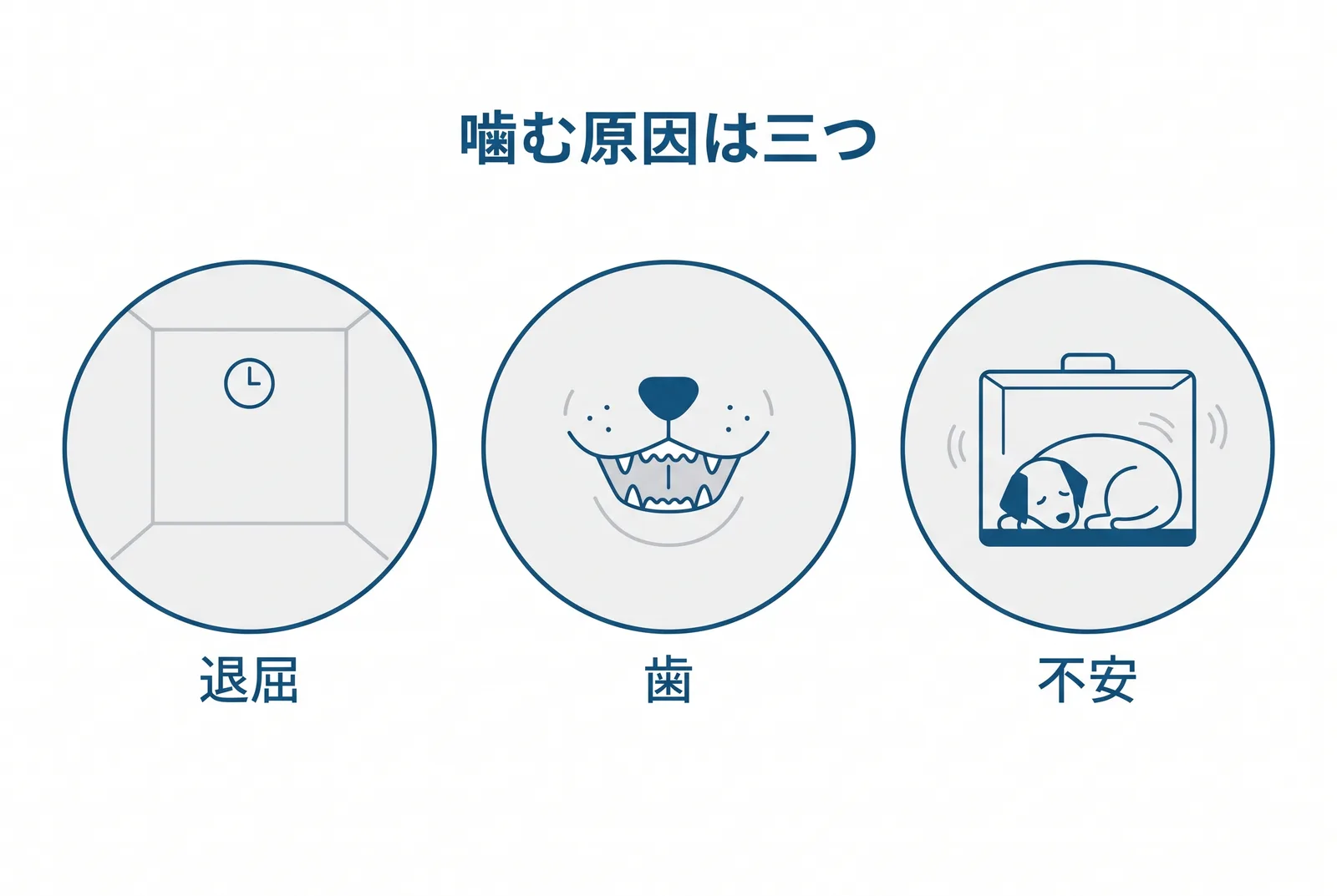 クレートやトレーを噛む原因は三つ。退屈、歯の生え替わり、不安。原因で対策が変わる