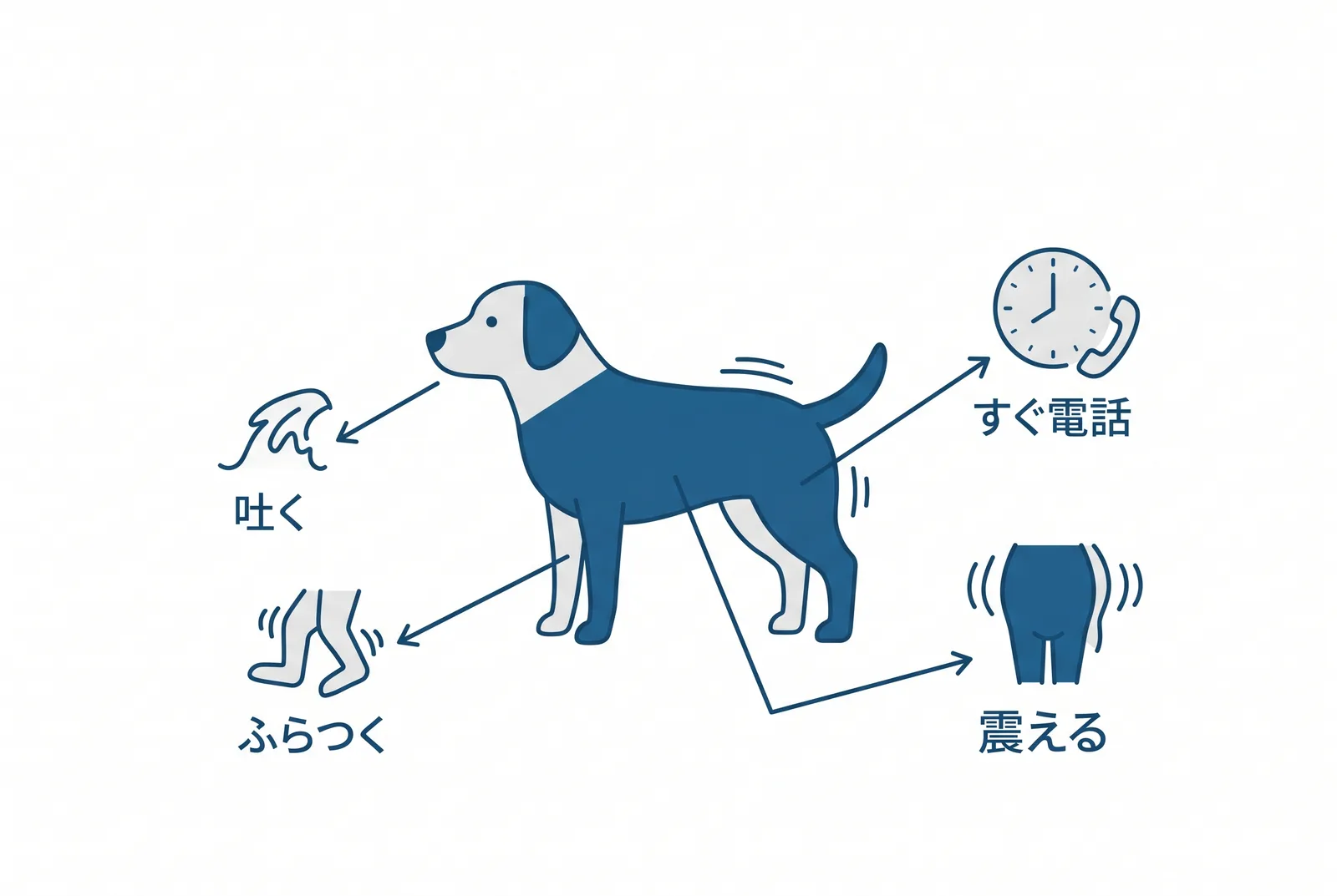食べてしまったときのサイン。吐く、ふらつく、震える、ぐったり。どれか一つでも出たら、時間を見て、すぐ動物病院に電話