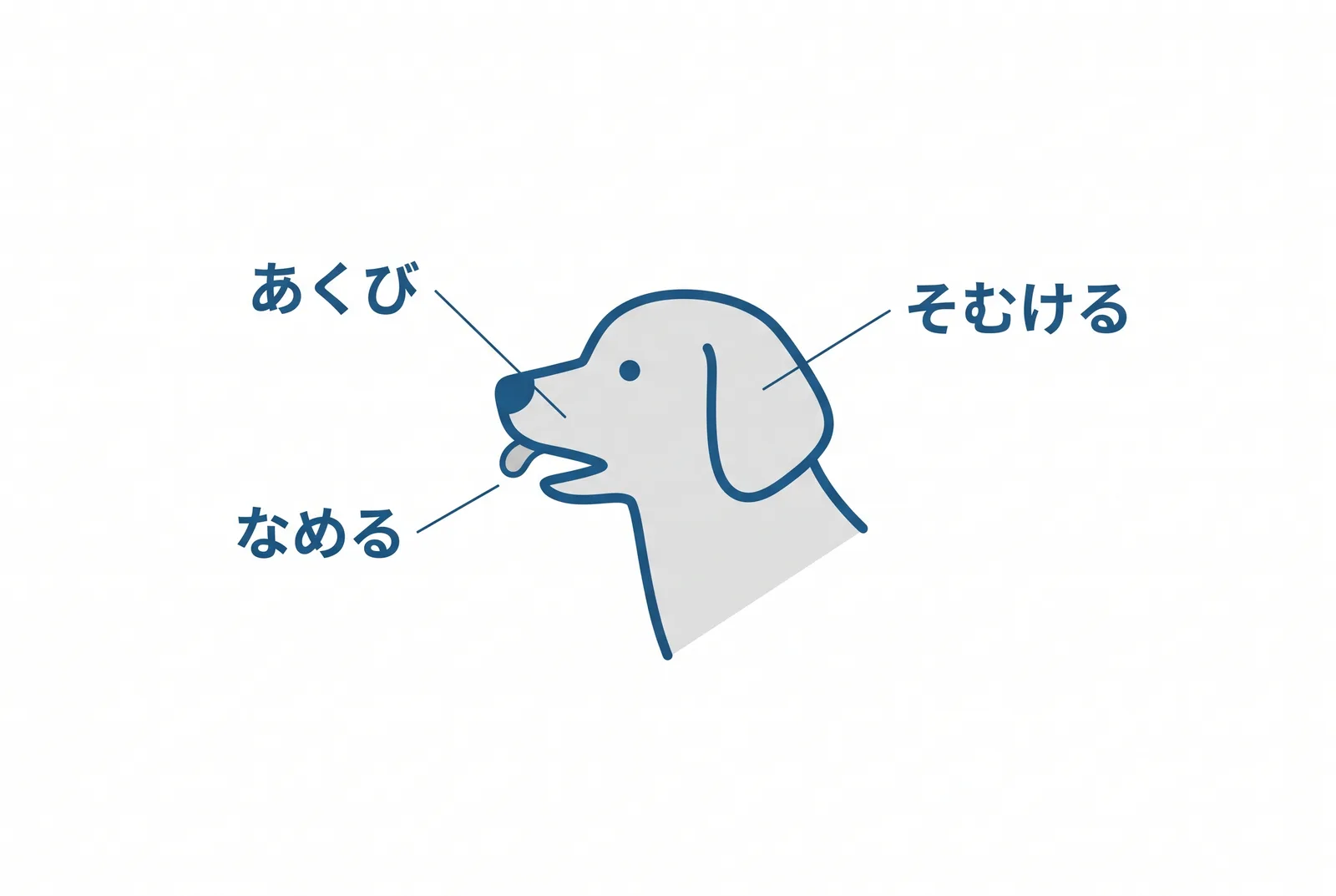 落ち着きたいサイン。あくび、鼻をなめる、顔をそむける。犬が緊張をほぐそうとしている合図