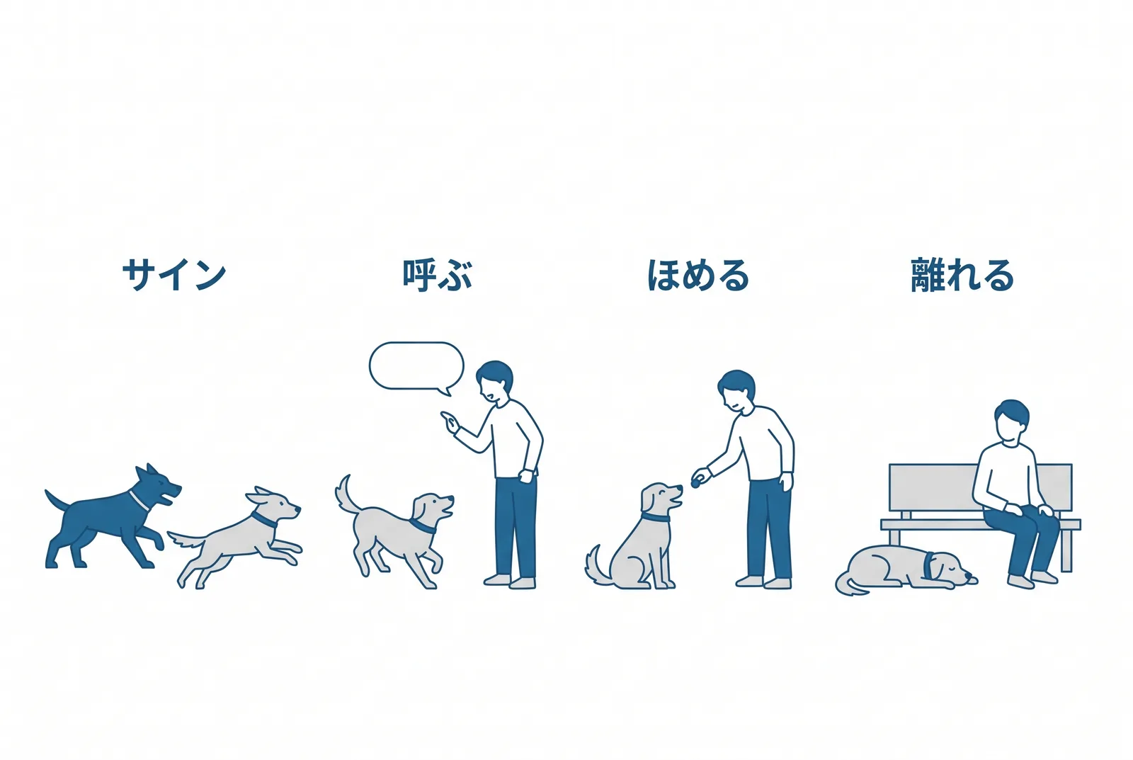 割って入るやり方。嫌がるサインが見えたら、静かに名前を呼び、来たらほめて、少し離れた場所で休む