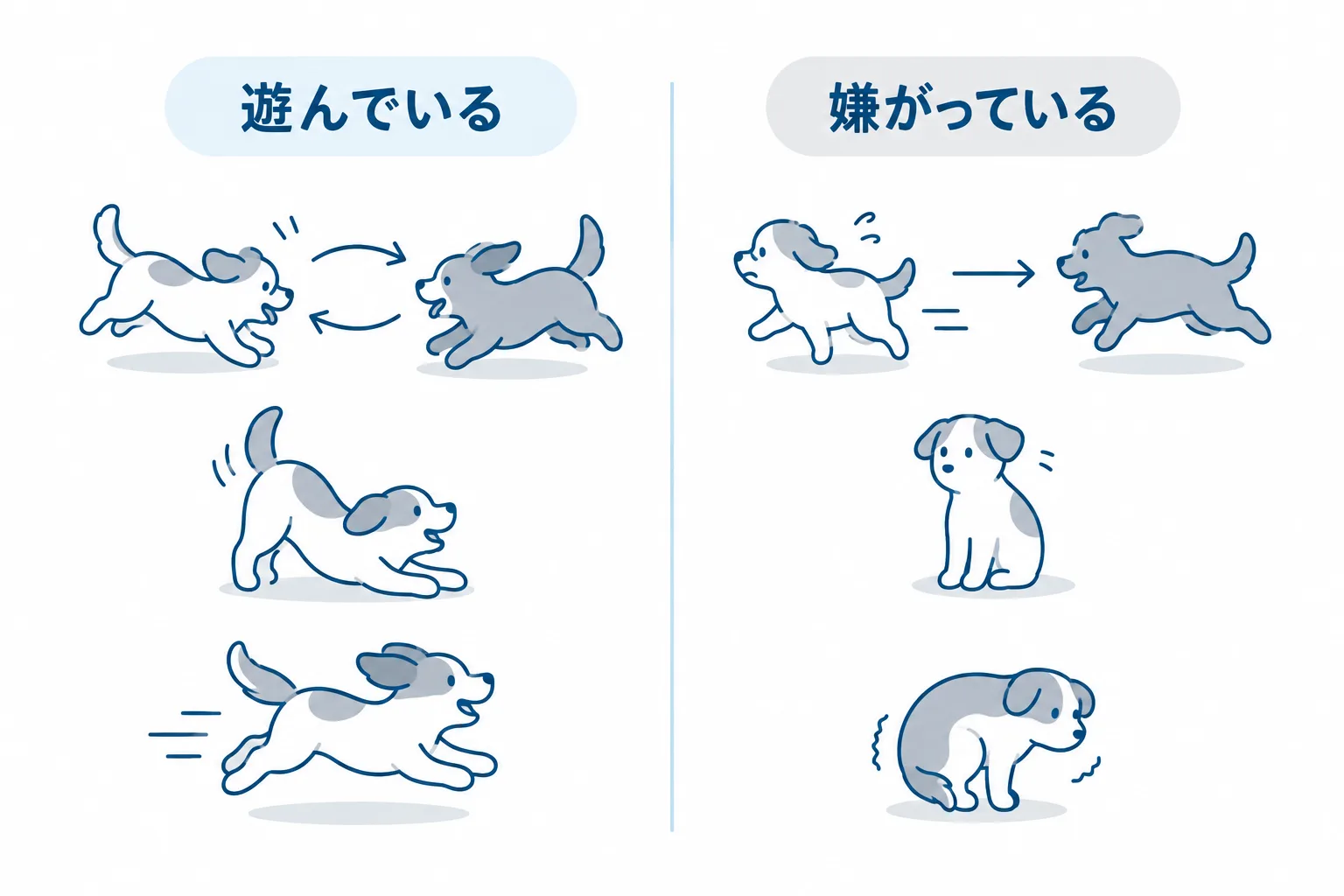 遊んでいるサインと嫌がっているサイン。交代する・プレイバウ・弾む動きは遊び。一方的・固まる・尻尾が下がるなら止める