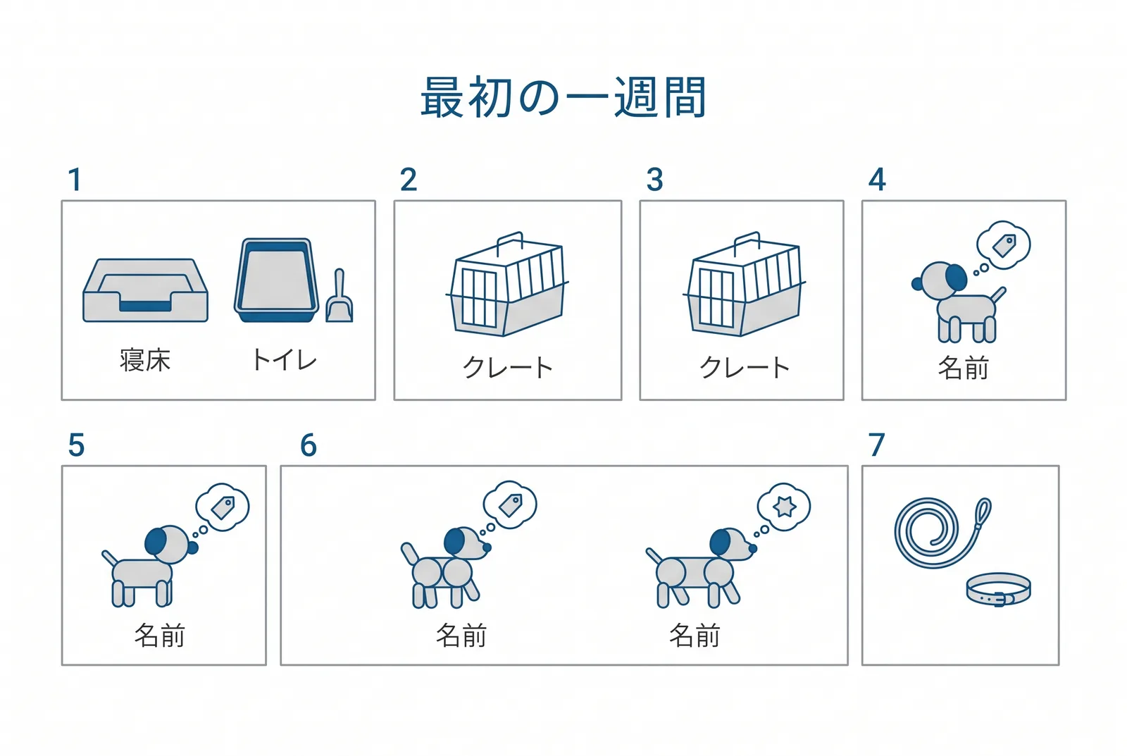 最初の一週間は土台づくり。一日目に寝床とトイレ、二日目からクレート、四日目から名前、七日目に散歩の準備