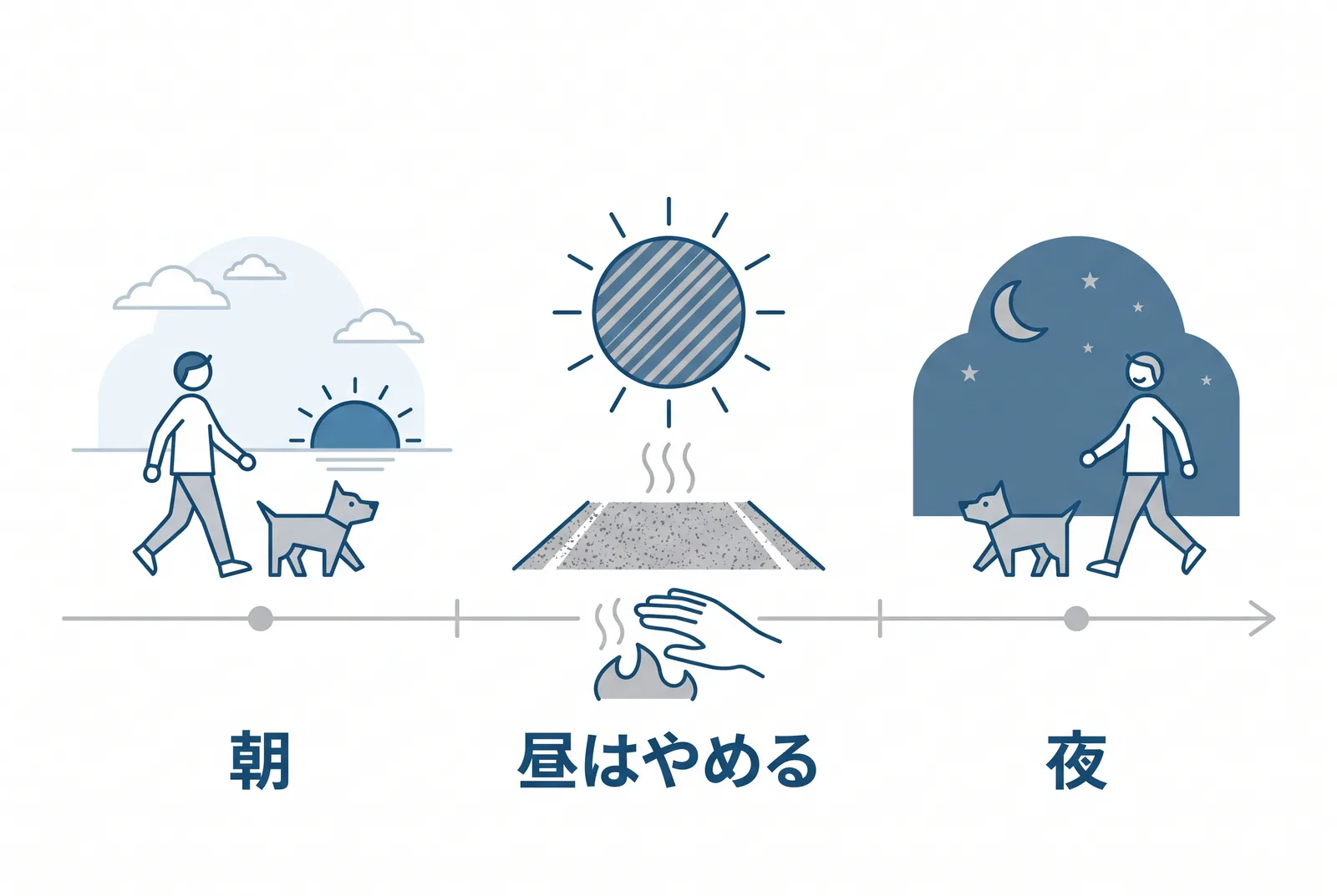 夏の散歩は時間で決まる。朝早くと夜に歩き、昼は太陽とアスファルトの熱を避けてやめる