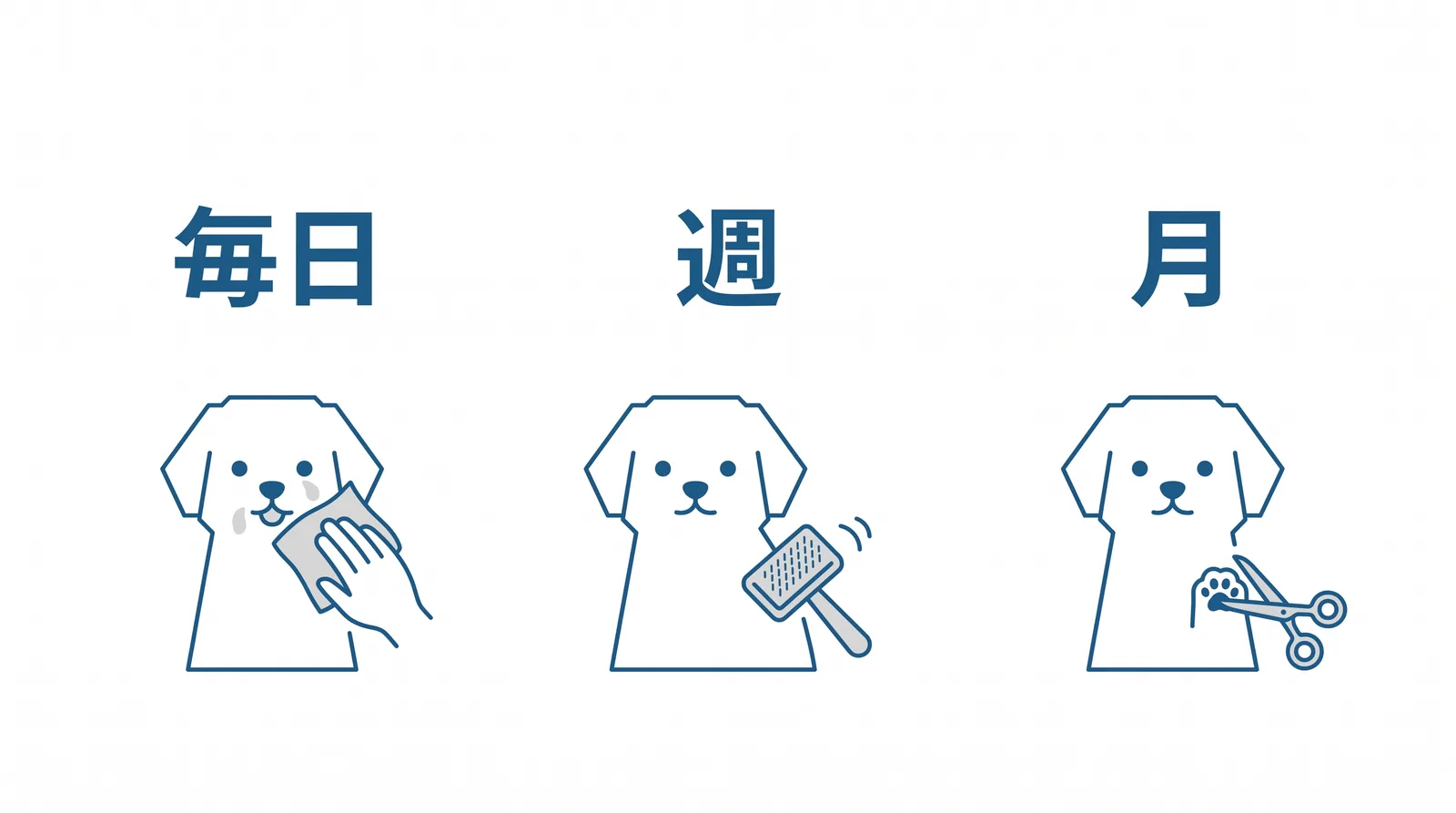 白い被毛は毎日の1分で決まる。毎日:目のまわりを拭く、口のまわりを拭く。週2〜3回:脇・耳の後ろ・内股のブラッシング。月1回:トリミング