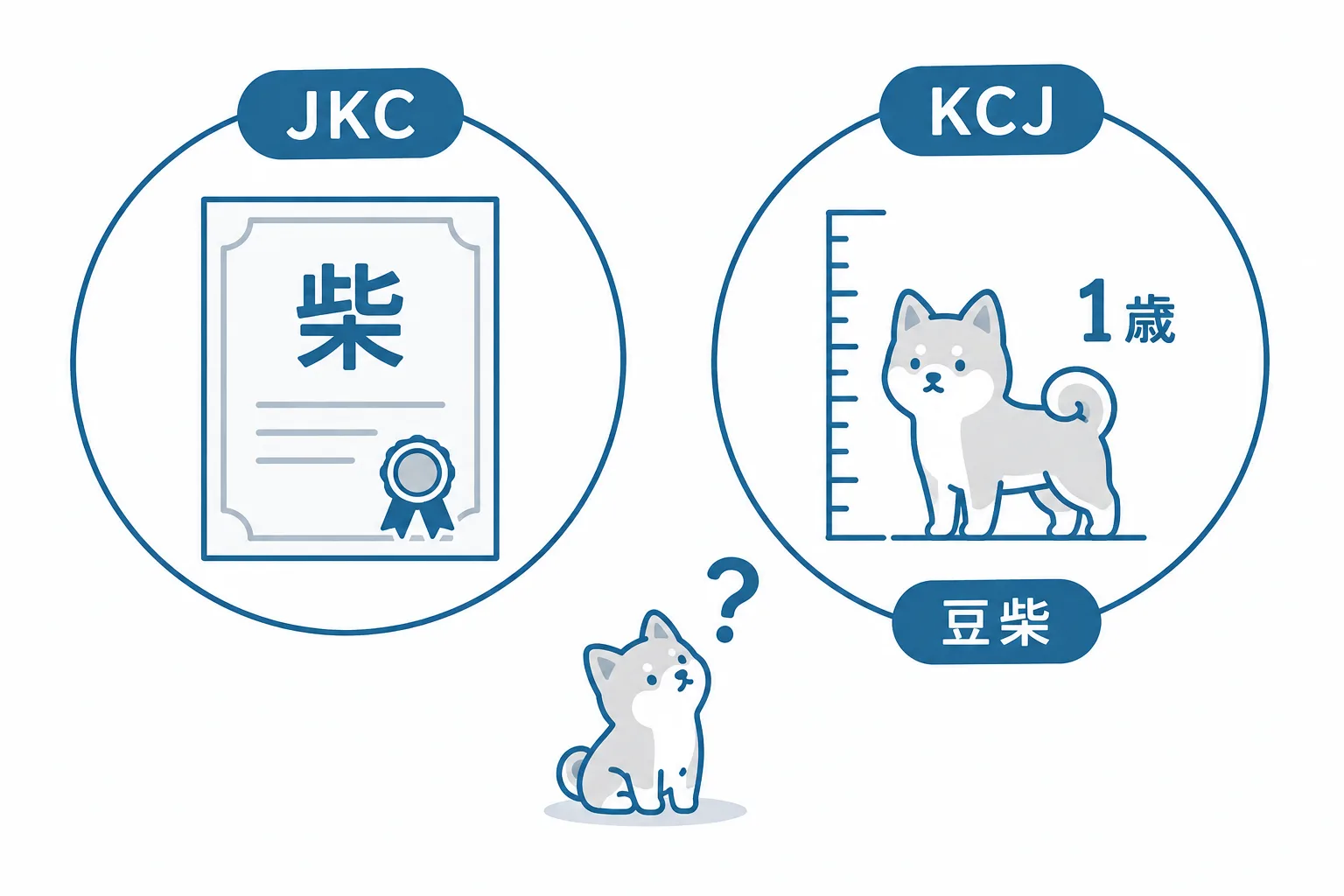 「豆柴」は団体で扱いが違う。JKCは犬種と認めず血統書は「柴」。KCJは犬種として公認し、生後1年後の体高審査で認定。子犬の時点で確定させる仕組みはない