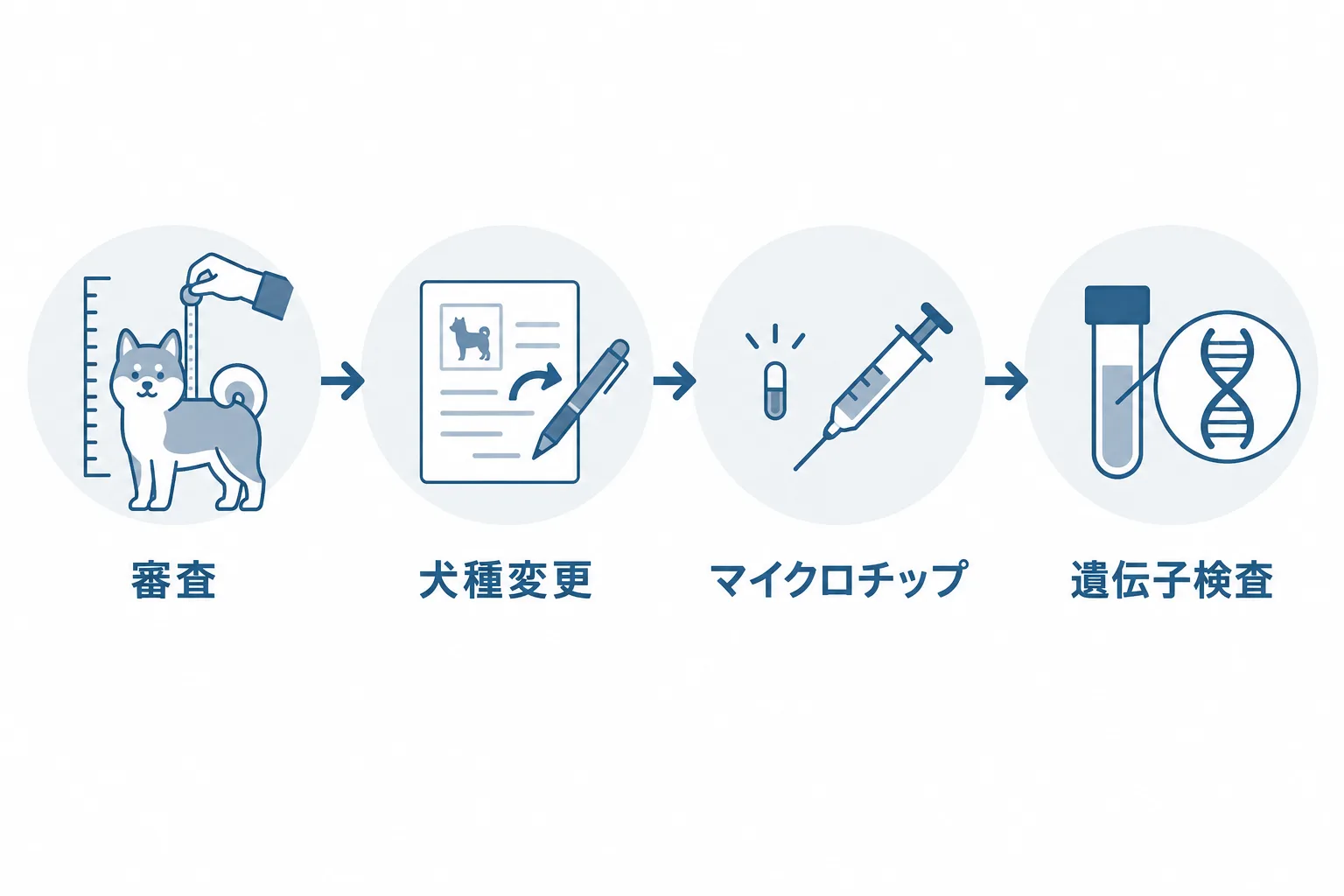 KCJで豆柴になるまでの手順。生後12か月を過ぎて体高を実測する認定審査、合格後の犬種変更の申請、マイクロチップの装着証明、両親犬のGM1遺伝子検査