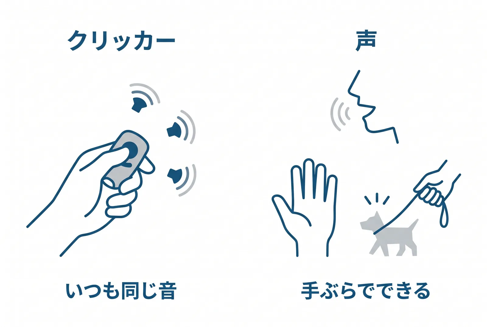 クリッカーはいつも同じ音。声の「Yes」は手ぶらで、散歩中でも使える