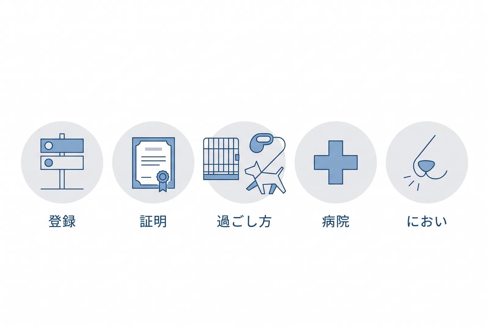 ペットホテルを選ぶときに見学で確かめる5つのこと。1登録番号が掲示されているか。2ワクチン証明を求められるか。3預かり中に1日どう過ごすか。4体調が崩れたときの手順。5においと犬たちの様子