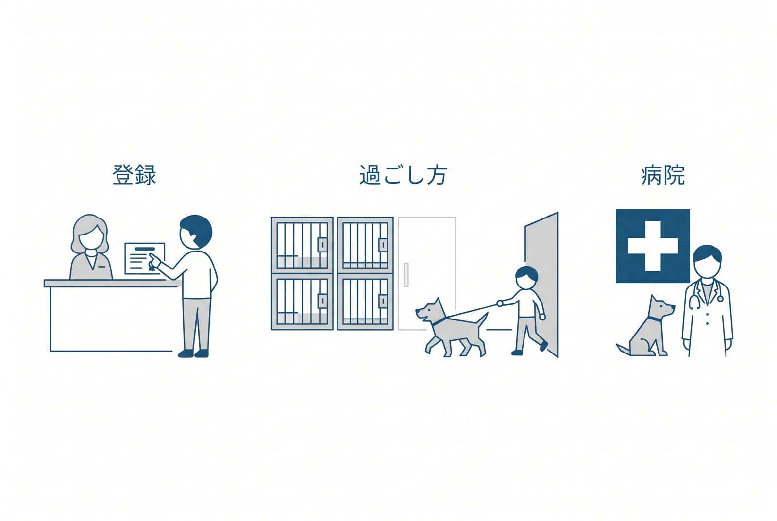 見学で見ること。受付の登録番号、預かり中の過ごし方（ケージと散歩）、体調が崩れたときの病院