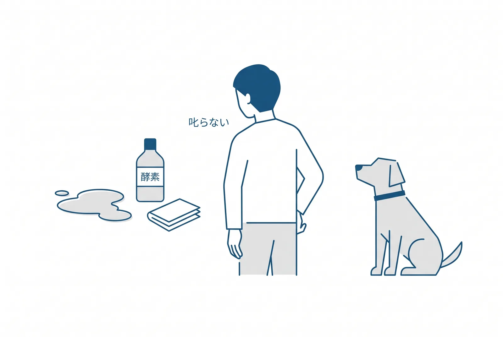 失敗したときの掃除。酵素系のクリーナーで拭き、犬は叱らずに背を向ける