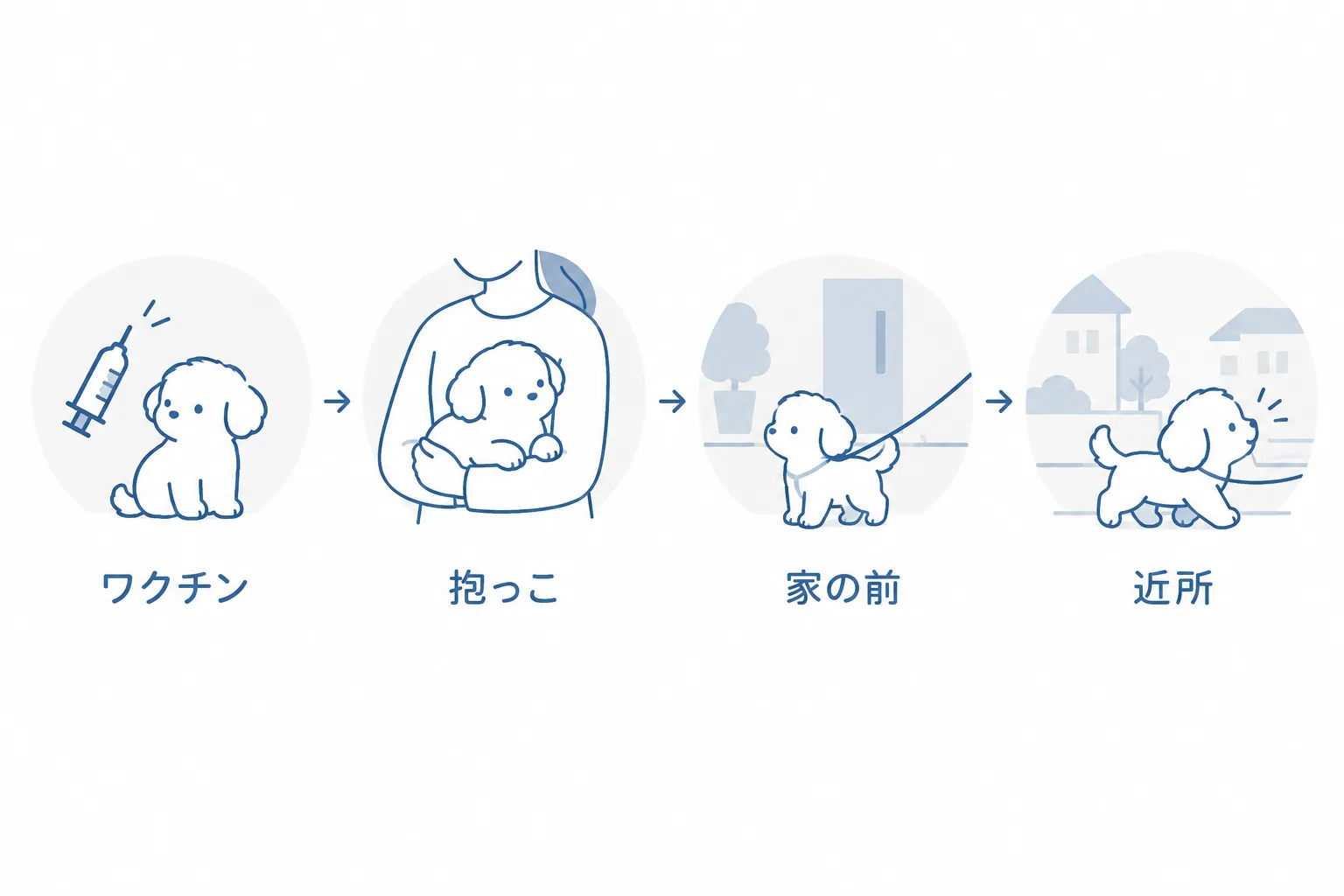 散歩デビューまでの道のり。ワクチン、抱っこ散歩、家の前、近所の道と段階を踏む