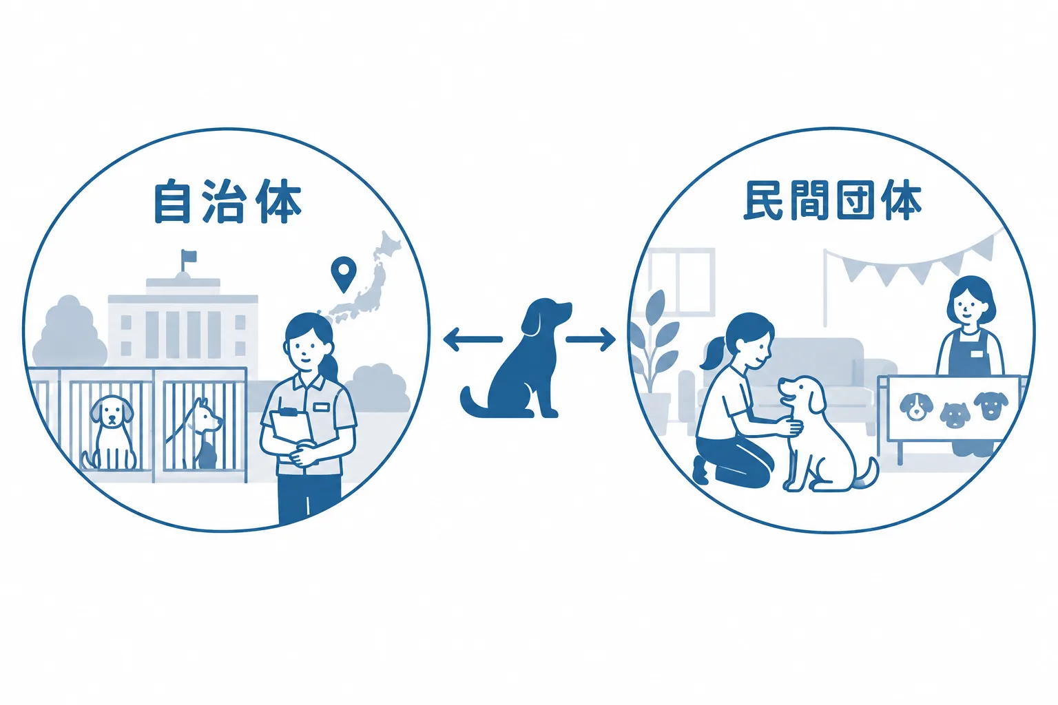 自治体の動物愛護センターと民間の保護団体。来歴の記録、条件、手順、費用の違い