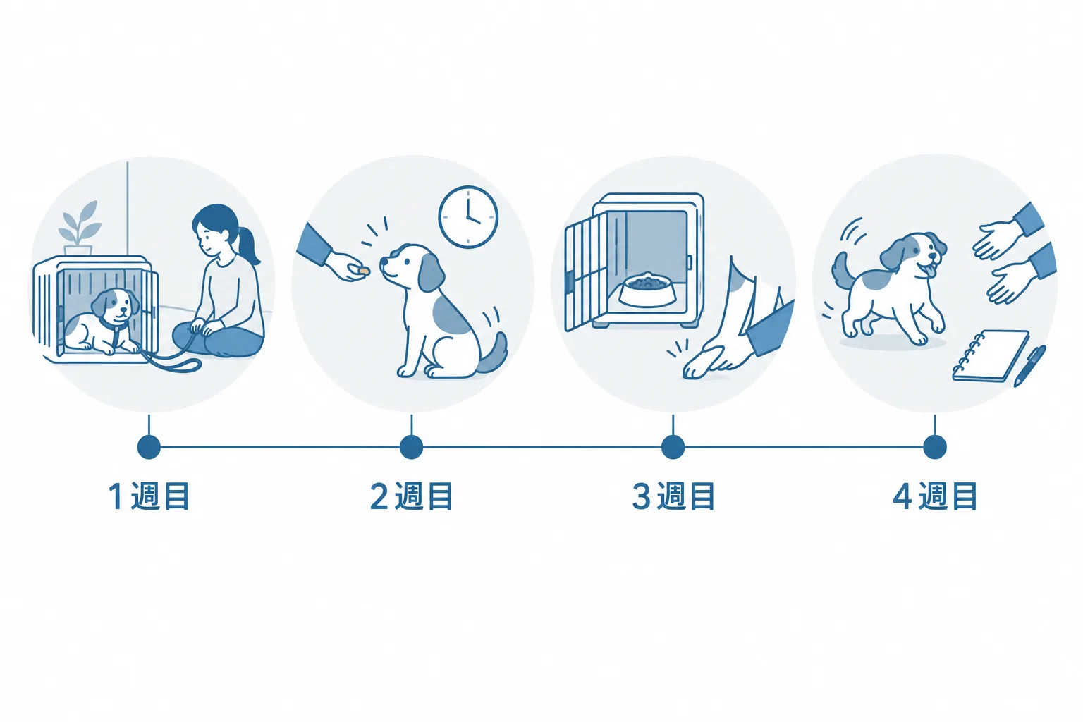 最初の1か月。1週目は安心と脱走対策、2週目は名前と生活のリズム、3週目はクレートと触られる練習、4週目はおいでと記録