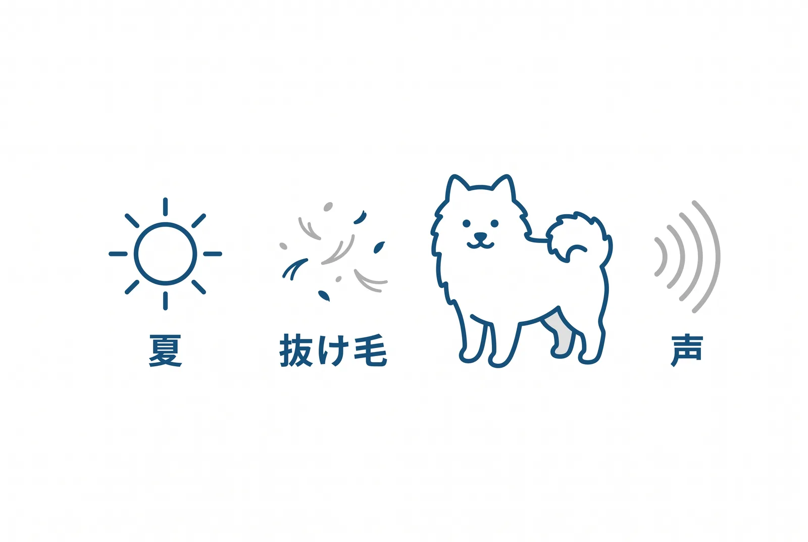 サモエドを日本で飼うときの3つの壁。夏:密な二重の被毛は断熱材、散歩は早朝と夜、エアコンは夏じゅう、刈らずに下毛を抜く。抜け毛:換毛期は毛が降る、週2〜3回、換毛期は毎日。声:よく鳴き声が大きい、ひとりが苦手、迎えた日からひとりでいる練習