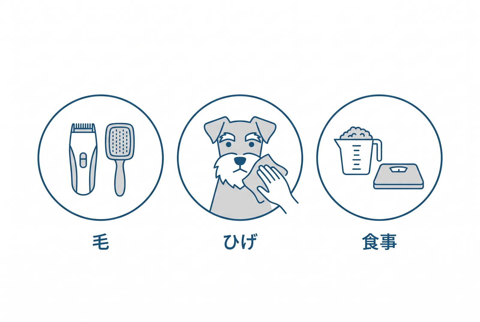 ミニチュアシュナウザーの暮らしは三つで決まる。毛:伸び続けるので四〜六週ごとに整える。ひげと眉:毎日拭いて、伸びたら切る。食事:脂を控え、体重を計る