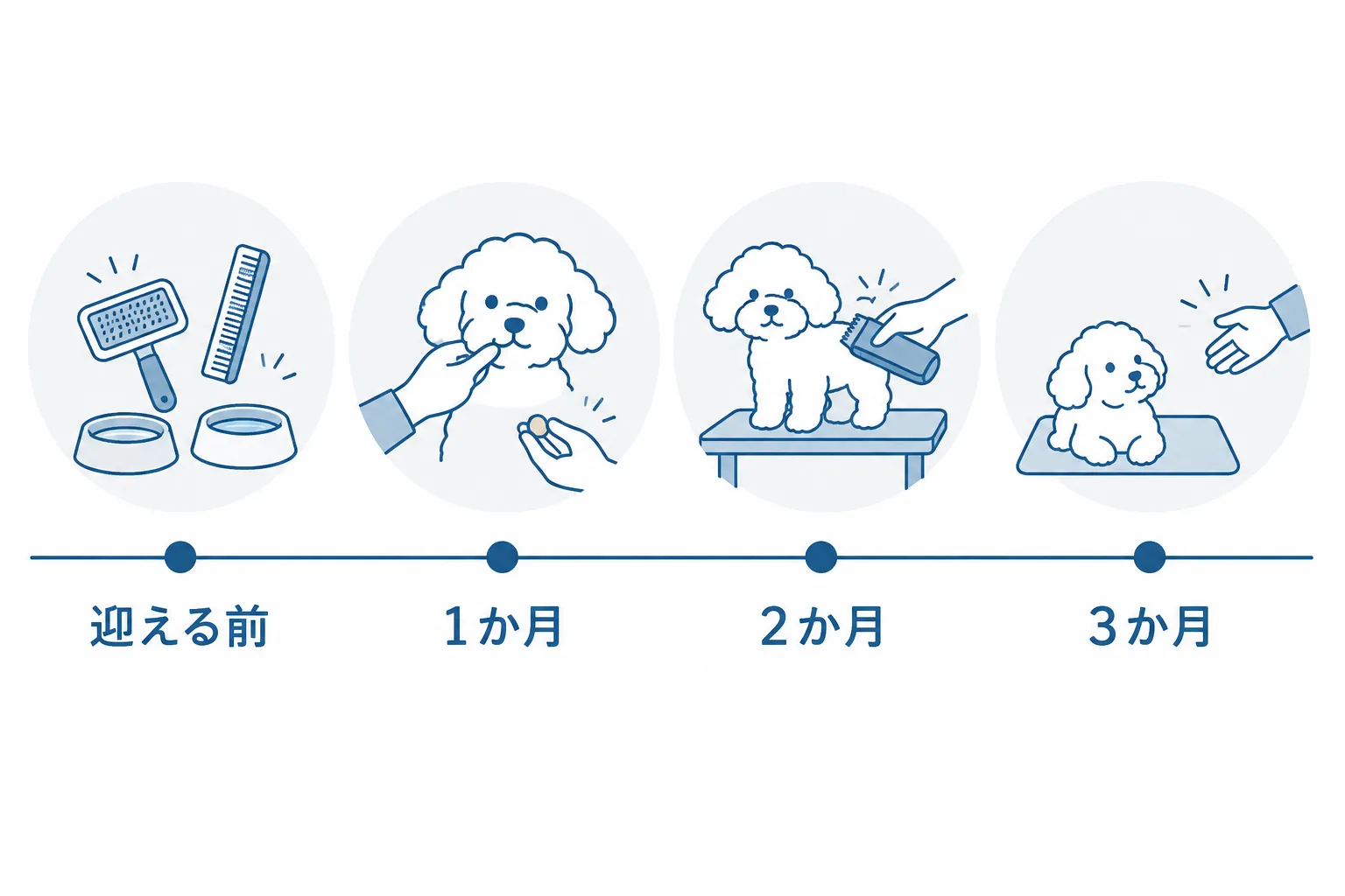 迎える前から3か月までの流れ。道具をそろえる、口と目のまわりを触る、初めてのトリミング、待つと呼び戻し