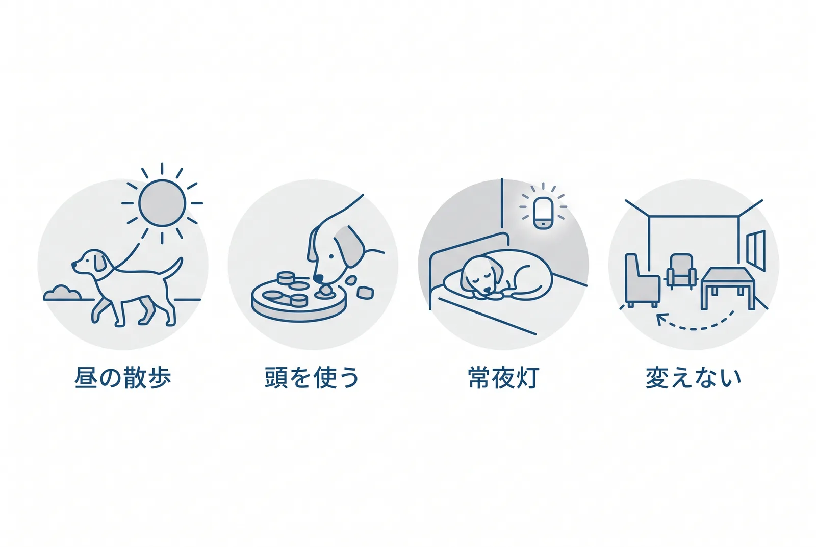 家庭でできる対処。昼の散歩、頭を使う遊び、夜の常夜灯、家具の位置を変えない