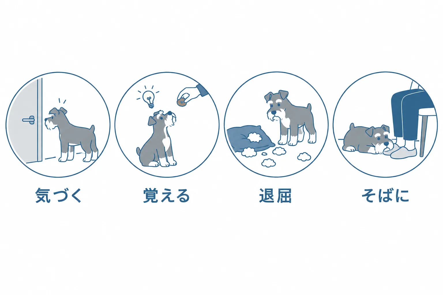 「高い気性」と「極端な信頼性」が家庭でどう出るか。よく気がつく、覚えるのが早い、退屈に弱い、人から離れない