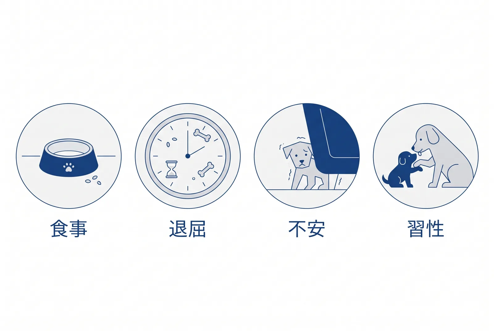 食糞の原因として考えられる四つ。食事、退屈、不安、習性
