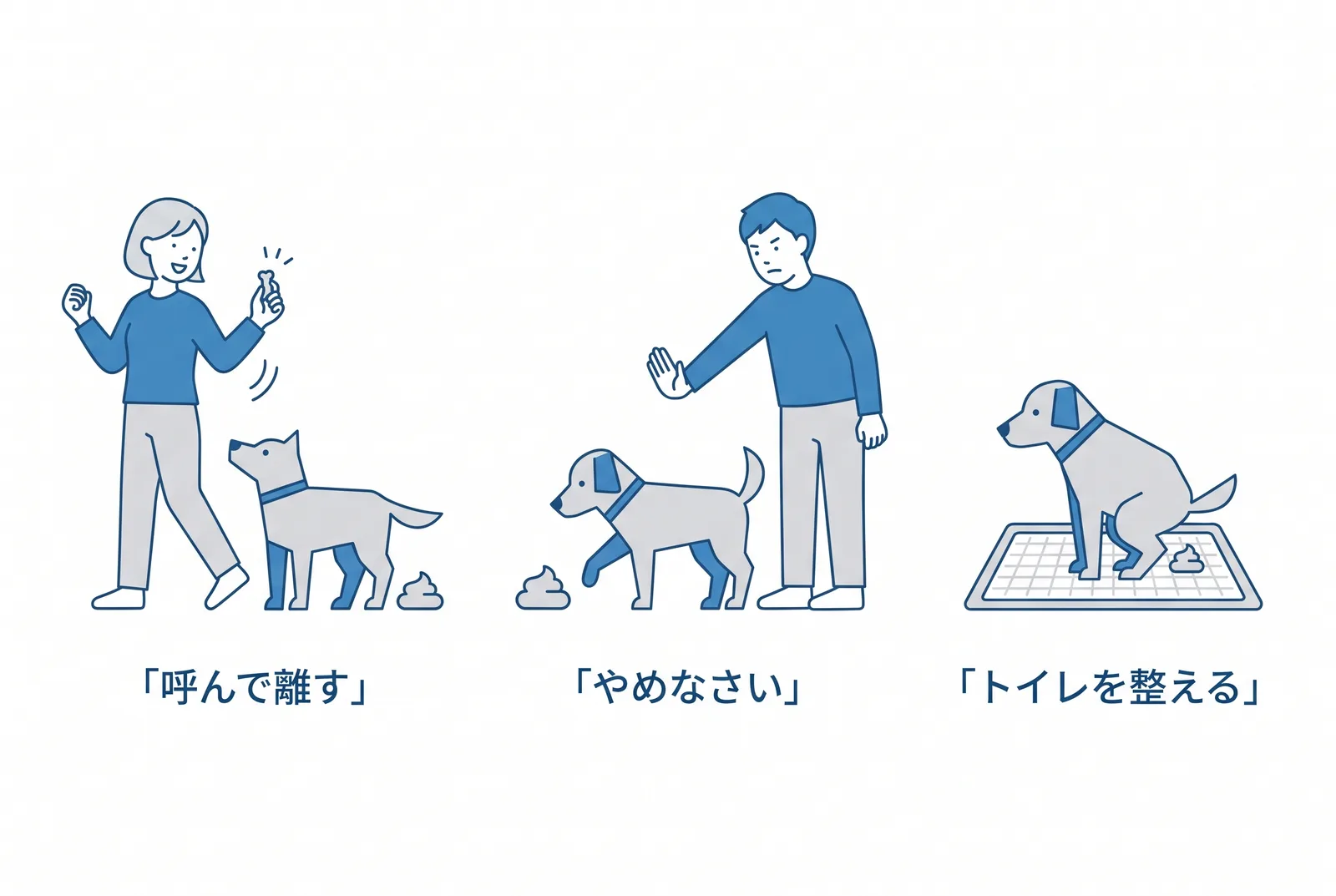 食糞をやめさせる三段階。排泄したら呼んで離す、近づいたら「やめなさい」、トイレの場所とタイミングを整える