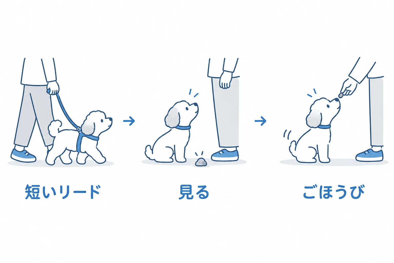 拾い食いは管理と合図で防ぐ。短いリードで歩き、地面の物の前で飼い主を見たらごほうび