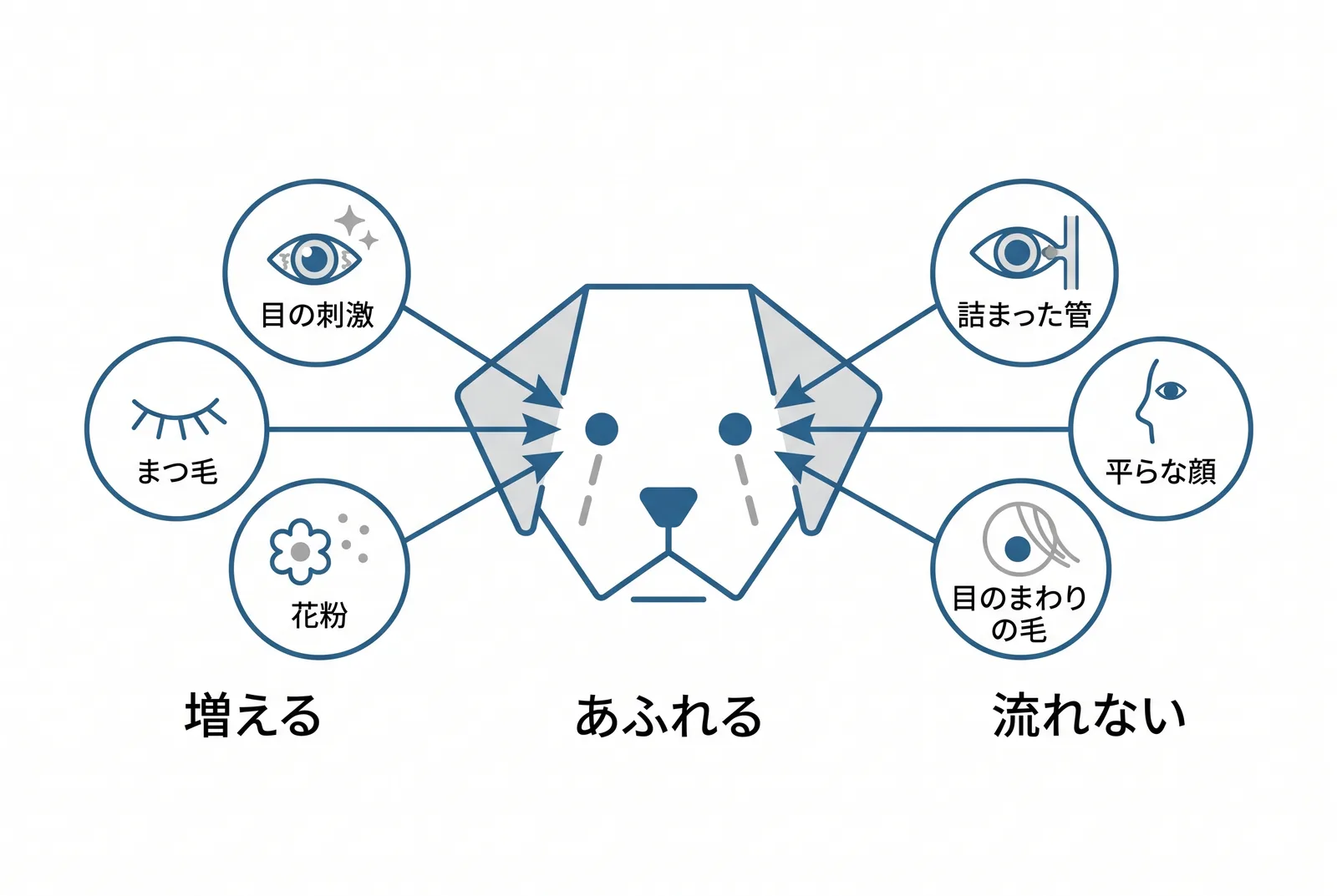 涙やけの原因は二つに分かれる。左：涙が増えている（目の刺激、まつ毛、アレルギー）。右：涙が流れない（鼻涙管のつまり、顔の形、目のまわりの毛）。矢印の先に「あふれる」