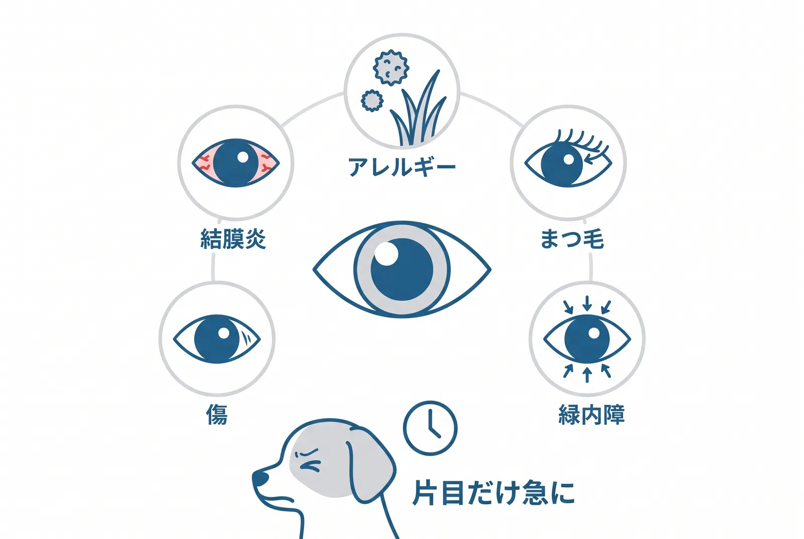 涙が増える原因。結膜炎、アレルギー、まつ毛、目の傷、緑内障。片目だけ急に目を細めるなら、その日のうちに受診