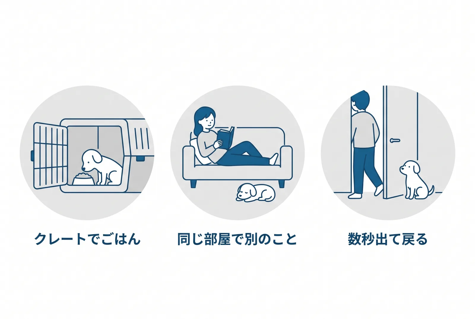 「ひとりでいても大丈夫」を積む三段階。クレートでごはん、同じ部屋で別のこと、数秒出て戻る