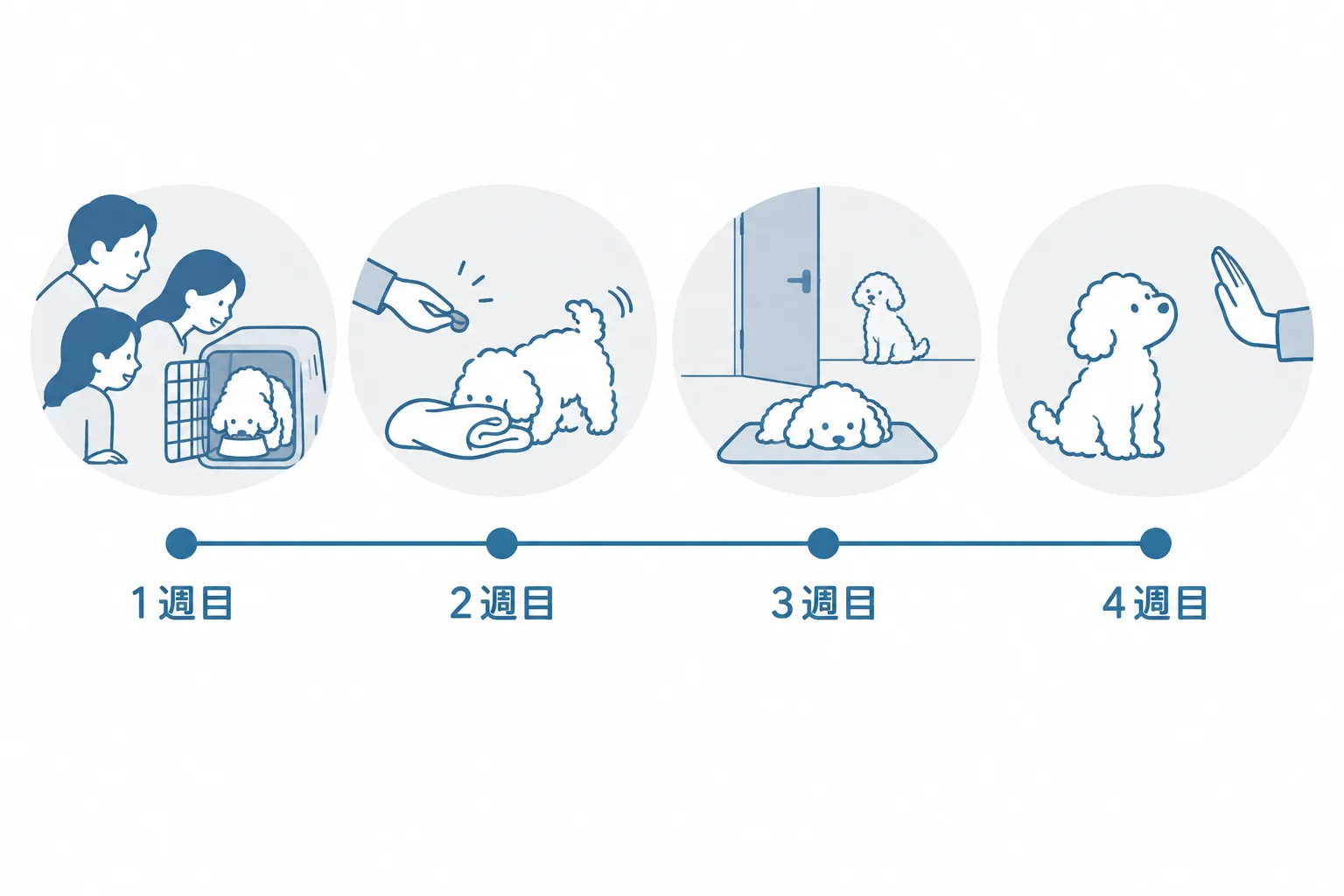 最初の1か月のつきあい方。1週目はクレートでごはんと家族の統一、2週目はマーカーと頭を使う遊び、3週目は数秒の留守番と落ち着いて待つ、4週目は静かに