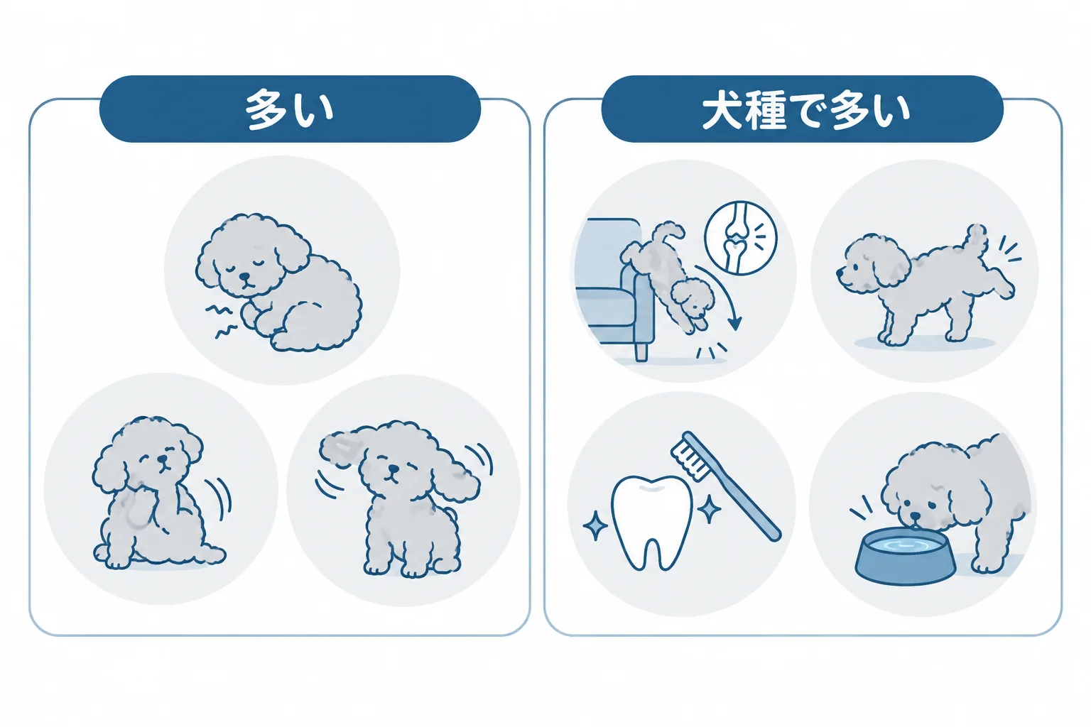 「かかりやすい」の2つの意味。左：件数が多い病気（お腹、皮膚、耳）。右：ほかの犬種より起こりやすい病気（前足の骨折、膝、歯、目、糖尿病）