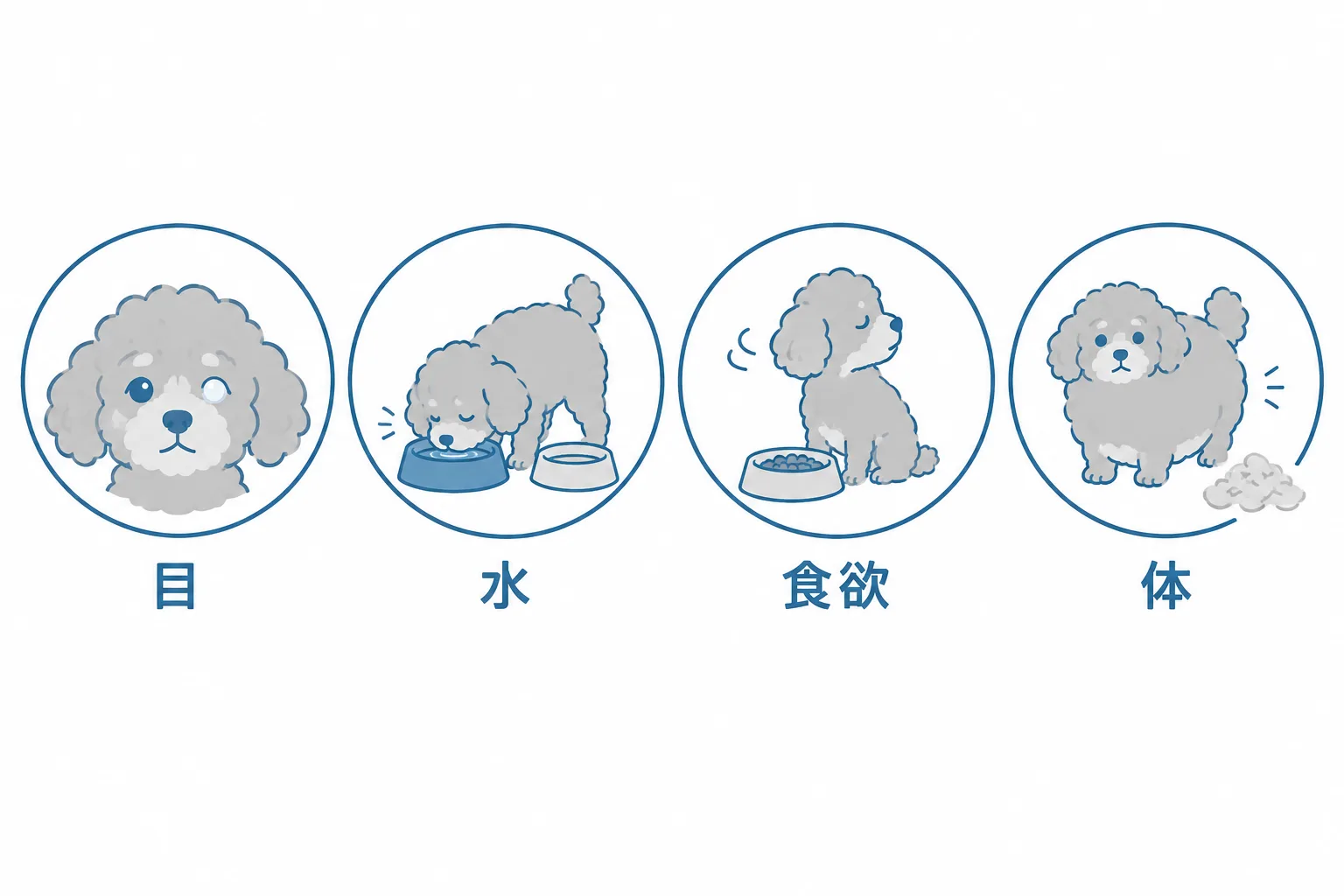 11歳ごろから気づけるサイン4つ。目が白い、水を飲む量が増えた、吐く・食欲が落ちる、太る・毛が薄い
