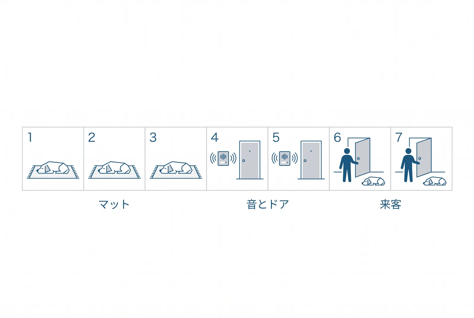 1週間の進み方。1〜3日目はマットと静かにの練習、4〜5日目に音とドア、6〜7日目に実際の来客