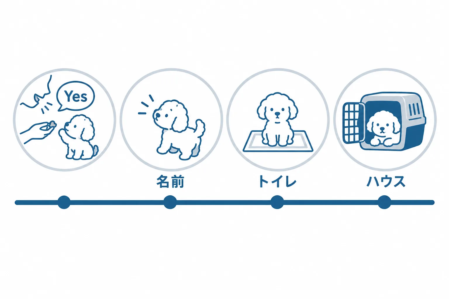 お迎え初日から始める4つの土台。Yesの合図、名前への反応、トイレ、ハウス。おすわりはこの後